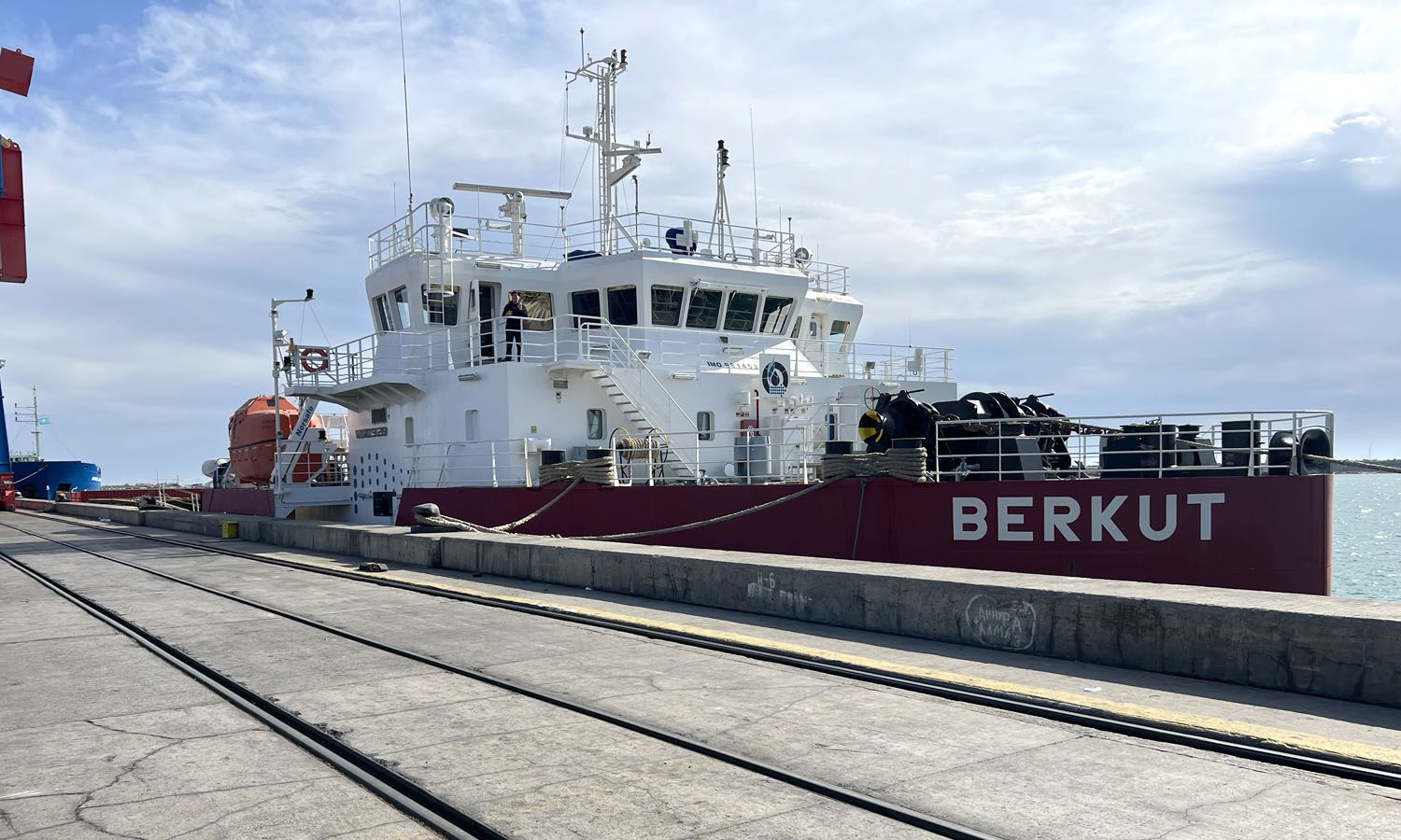 Container ship «Berkut»